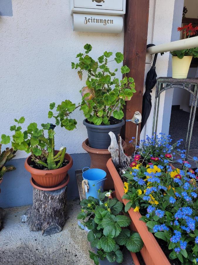 Ferienwohnung Schatz Breitenwang Kültér fotó