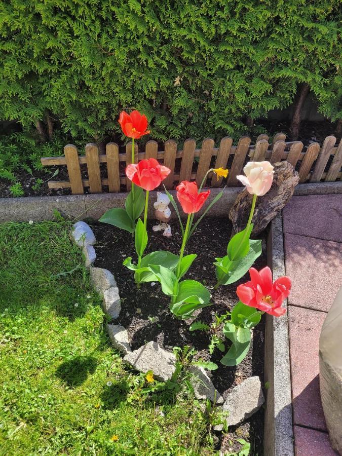Ferienwohnung Schatz Breitenwang Kültér fotó